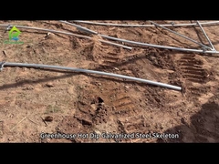 Xương xương xăng nóng trong nhà kính