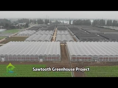 Dự án AX Greenhouse---Tropical Sawtooth Greenhouse