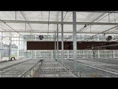 Bàn phát triển nhà kính dây lưới Bàn lăn lăn để gieo