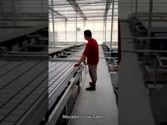 Bàn lăn có thể di chuyển Ebb và Flow Grow