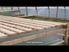 Một nhà kính ốc nhỏ