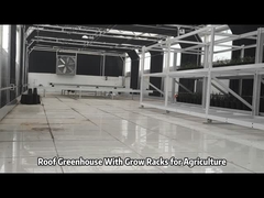 Nhà kính trên mái nhà với thùng trồng