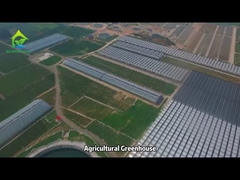 Dự án nhà kính nông nghiệp