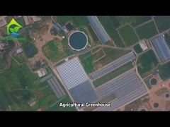 Dự án nhà kính thương mại nông nghiệp