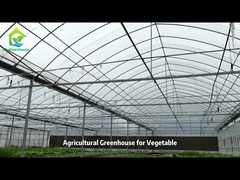 Nhà kính nhựa bằng màng poly tunnel cho rau quả