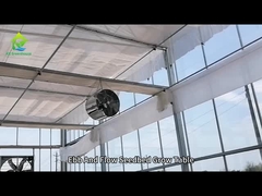 30 * 60mm Steel Mesh Thị trường Nhà kính Bàn Cây Cây Cây Cây Cây Trẻ