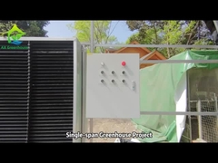 Dự án nhà kính AX Single-span