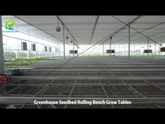 Bàn trồng cây lưới thép và Bàn trồng cây thủy triều lên xuống cho nhà kính
