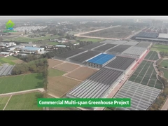 Poly nhựa phim đường hầm đa dải nông nghiệp rau trồng nhà kính