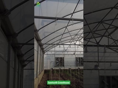 Sawtooth thiết kế nhiệt đới nhựa phim nhà kính