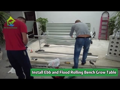 Ebb And Flow Greenhouse Rolling Bench cho việc gieo trồng dọc