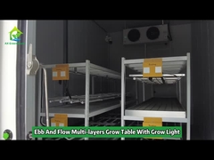 Nhiều lớp Ebb và Flood Grow Table Rolling Bench Grow Racks với ánh sáng