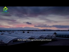 Nhà kính nông nghiệp đa độ dài lớn