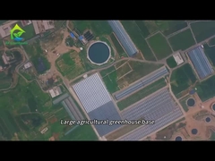 Cơ sở trồng nhà kính nông nghiệp lớn