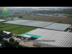 Nhà kính kính thông minh hoàn toàn để trồng cà chua và ớt