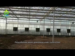 Nhà kính tấm polycarbonate đang được xây dựng