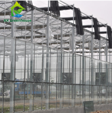 Kính cường lực thương mại Loại Venlo Nhà kính nhiều chiều cho nông nghiệp