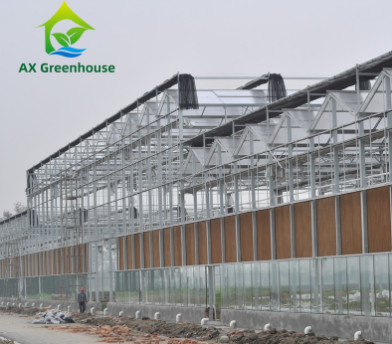 Kính cường lực thương mại Loại Venlo Nhà kính nhiều chiều cho nông nghiệp