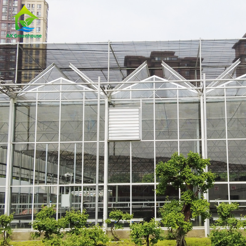 Hot Dip Galvanized Steel Structure Triangle Roof Molding 30 * 20m Thương mại tùy chỉnh Tủ kính tự động Tủ kính kính Venlo