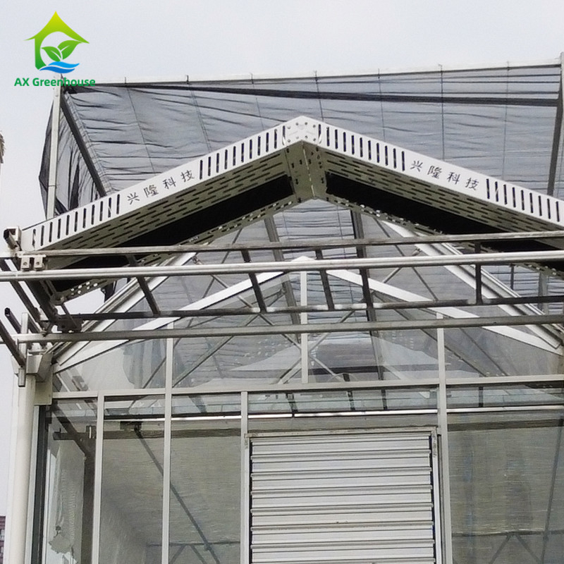 Hot Dip Galvanized Steel Structure Triangle Roof Molding 30 * 20m Thương mại tùy chỉnh Tủ kính tự động Tủ kính kính Venlo