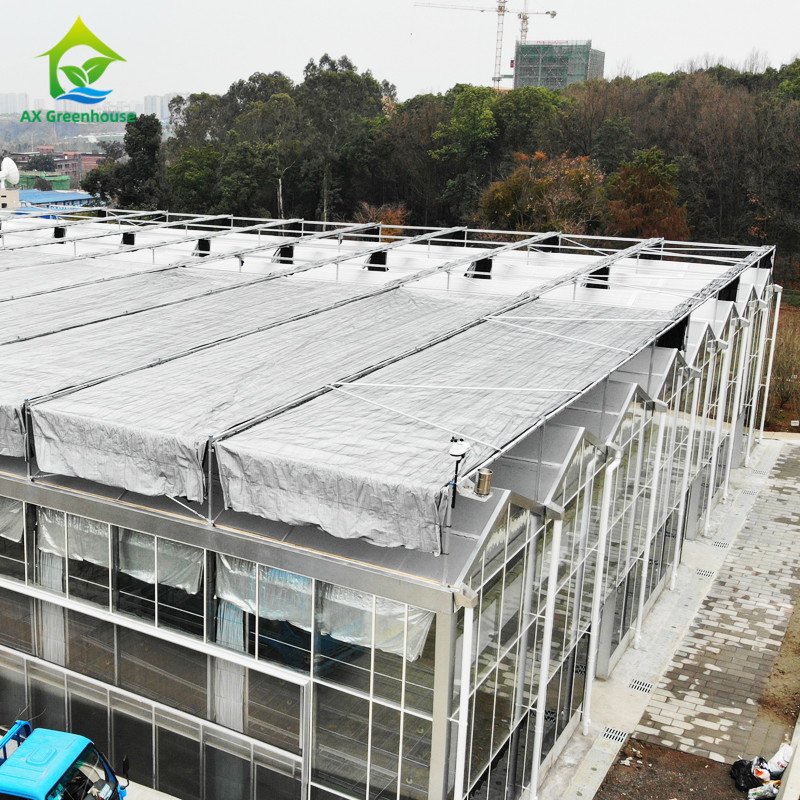 Hot Dip Galvanized Steel Structure Triangle Roof Molding 30 * 20m Thương mại tùy chỉnh Tủ kính tự động Tủ kính kính Venlo