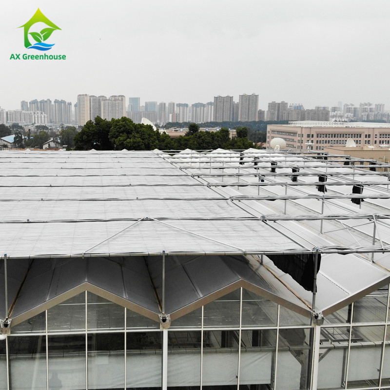 Hot Dip Galvanized Steel Structure Triangle Roof Molding 30 * 20m Thương mại tùy chỉnh Tủ kính tự động Tủ kính kính Venlo