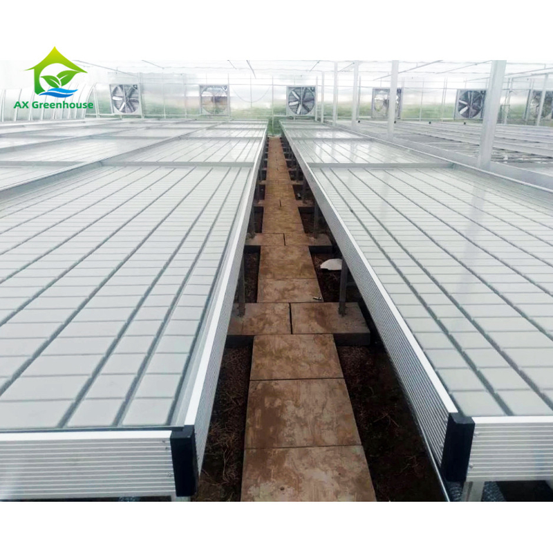 Nông nghiệp không đất Nhà kính trong nhà Thường sử dụng Ebb Grow Table Rolling Bench Cho hạt giống