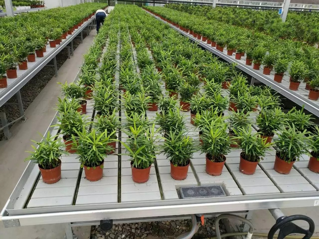 Ebb Flow Hydroponic Di động Hydroponic Không có đất Nông trồng Bàn lăn để trồng