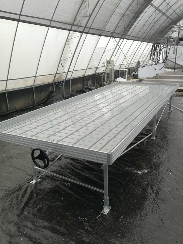 Nhà kính Ebb Flow Seedling Rolling Bench Grow Tables Để trồng nhiều loại cây