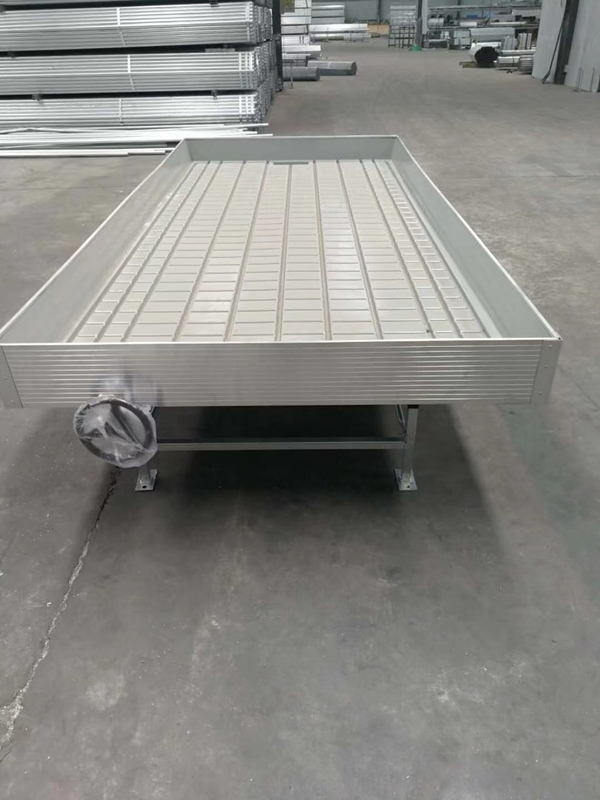 Bàn phát triển Khay ngập lụt Cán Ebb và Băng ghế dự bị chảy cho cây giống nhà kính hoa