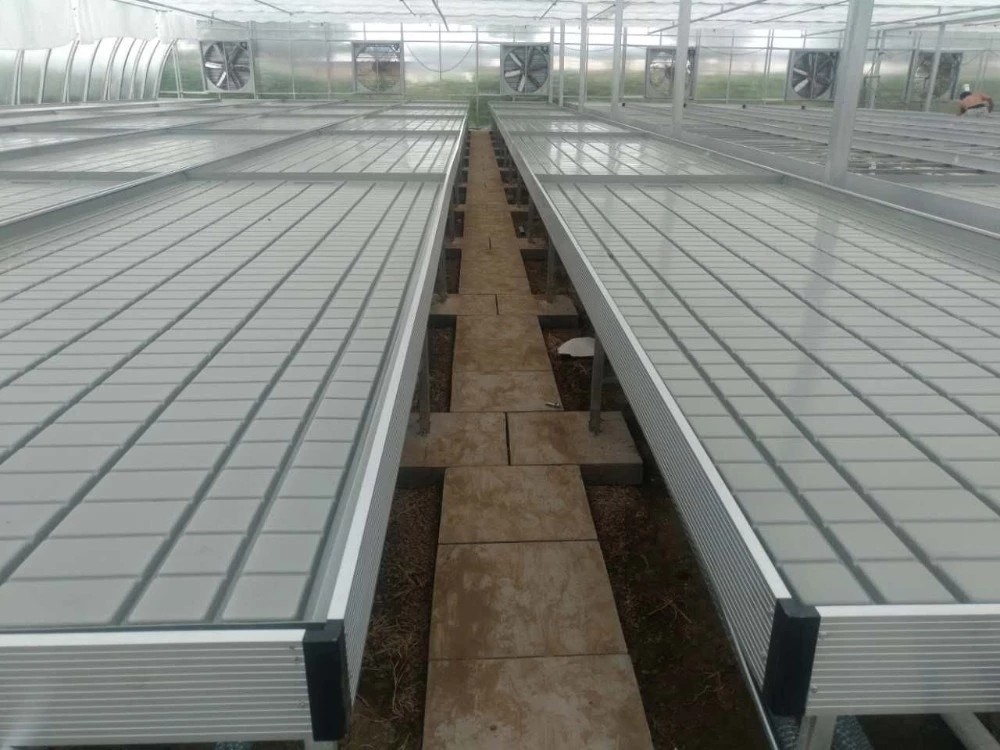 Bàn phát triển Khay ngập lụt Cán Ebb và Băng ghế dự bị chảy cho cây giống nhà kính hoa