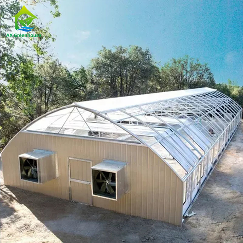PE Film 220V Nhà kính tước ánh sáng tự động Mất điện 100% Nhà kính đường hầm cao để trồng cần sa