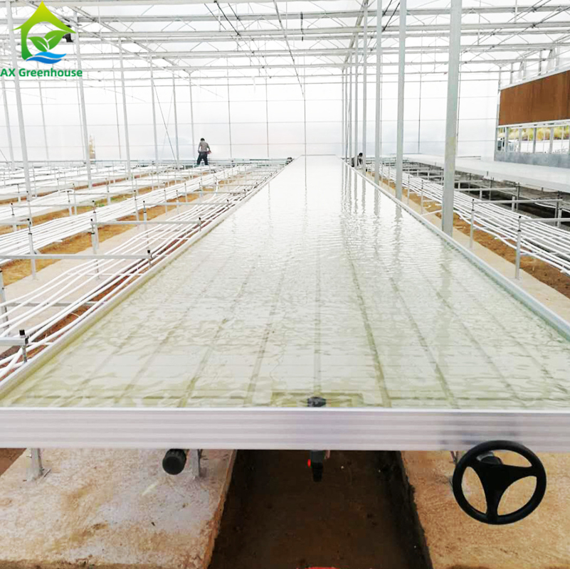 Ebb Flow Hydroponic Di động Hydroponic Không có đất Nông trồng Bàn lăn để trồng