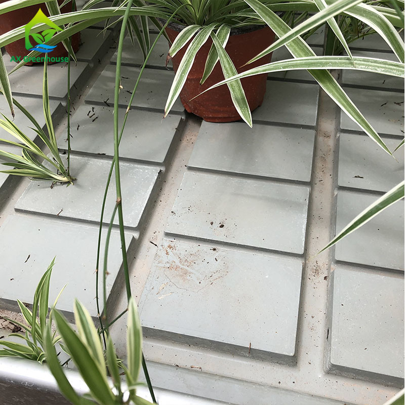 Ebb And Flood Hydroponic Movable Table Rolling Bench cho cây trồng trồng trong nhà kính