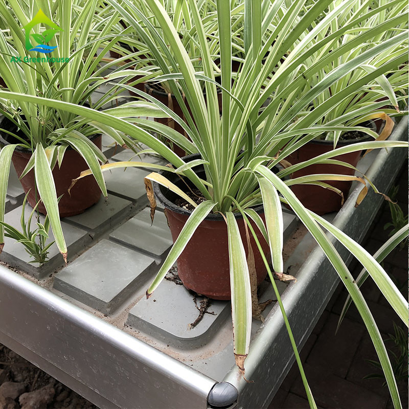 Ebb Flow Hydroponic Di động Hydroponic Không có đất Nông trồng Bàn lăn để trồng