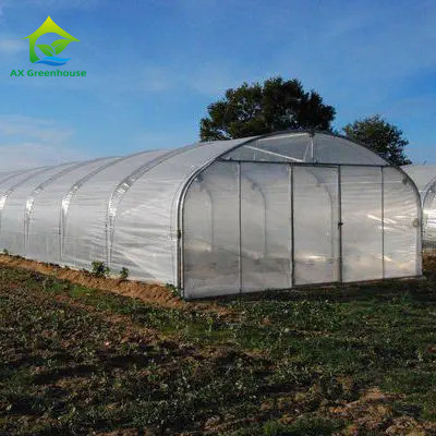 Sức mạnh cao Dễ lắp đặt Poly Tunnel Nhà kính Chống côn trùng Tăng sản lượng