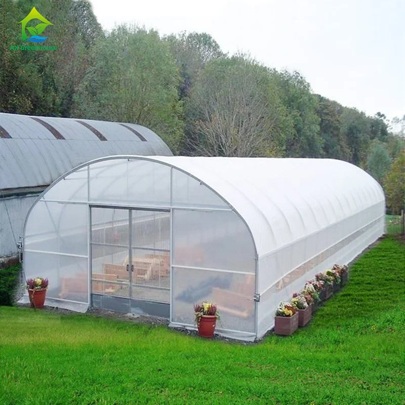 Sức mạnh cao Dễ lắp đặt Poly Tunnel Nhà kính Chống côn trùng Tăng sản lượng