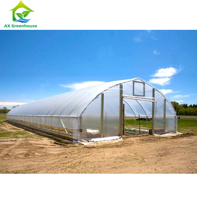 Sức mạnh cao Dễ lắp đặt Poly Tunnel Nhà kính Chống côn trùng Tăng sản lượng