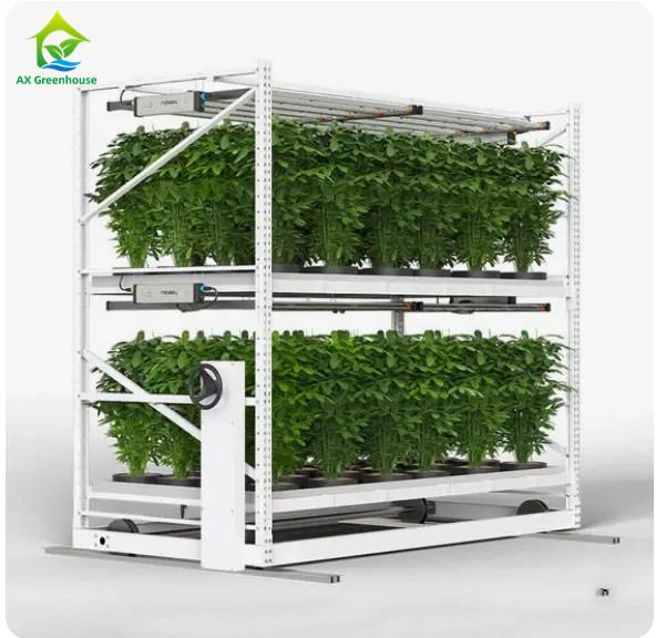 Ứng dụng tùy chỉnh trong nhà hai lớp rau thuốc thảo mộc Grow Rack cho nông nghiệp dọc