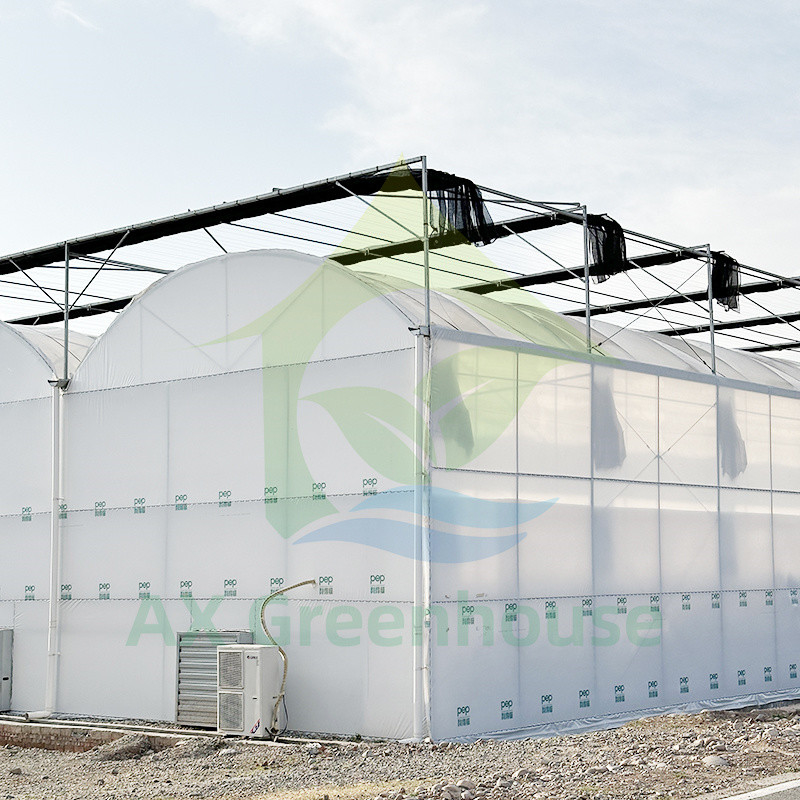 Nhựa PE Film Multi Span Tomato Poly Tunnel Nhà kính cho trái cây rau quả với lưới bóng