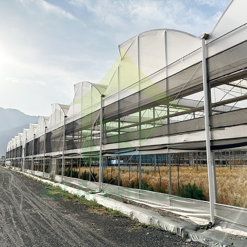 Nhựa PE Film Multi Span Tomato Poly Tunnel Nhà kính cho trái cây rau quả với lưới bóng
