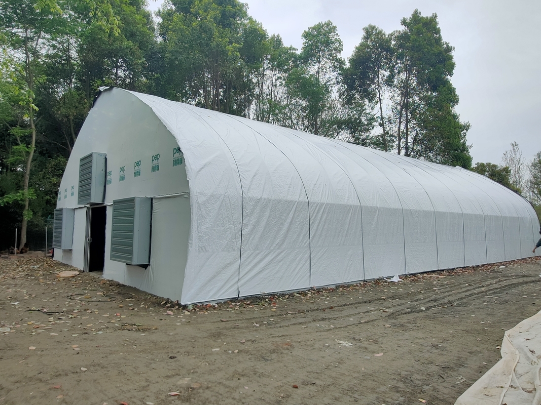 Giá nhà máy ẩm ẩm nhựa phim đường hầm cà chua trồng lều nhà kính cho nông nghiệp