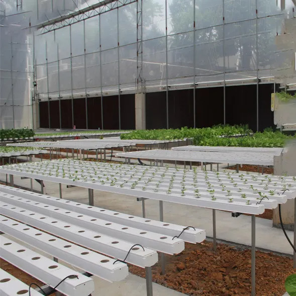 Không đất nông nghiệp trong nhà trồng dâu tây PVC ống cho hệ thống NFT Hydroponics For Sale