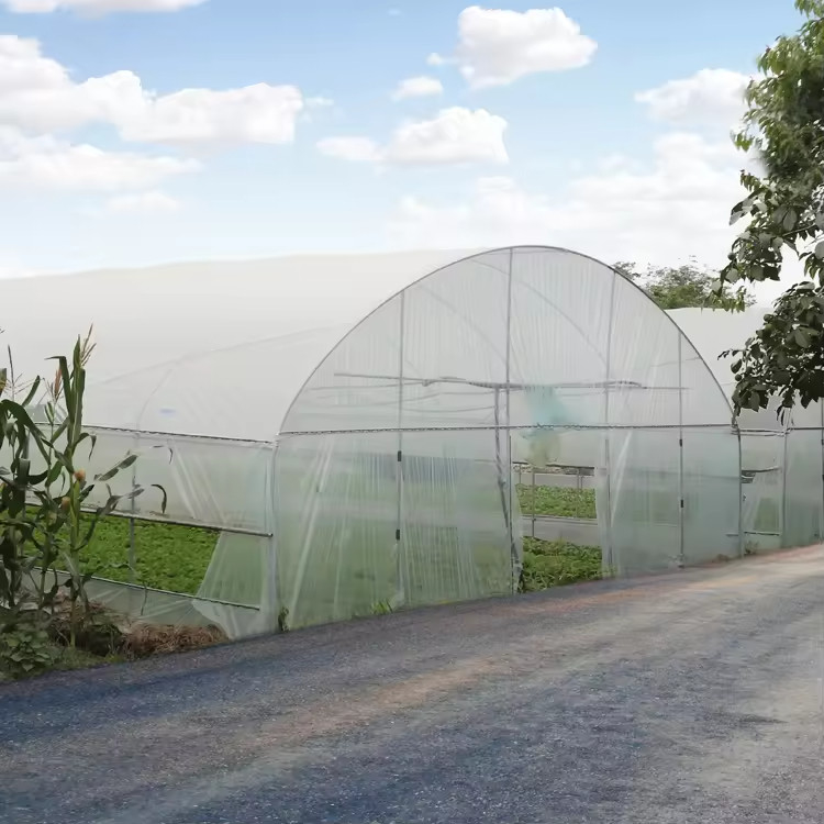 Low Cost Plastic PE Film UV Resistant Single-span Vegetable Fruit Shed Greenhouse Tent