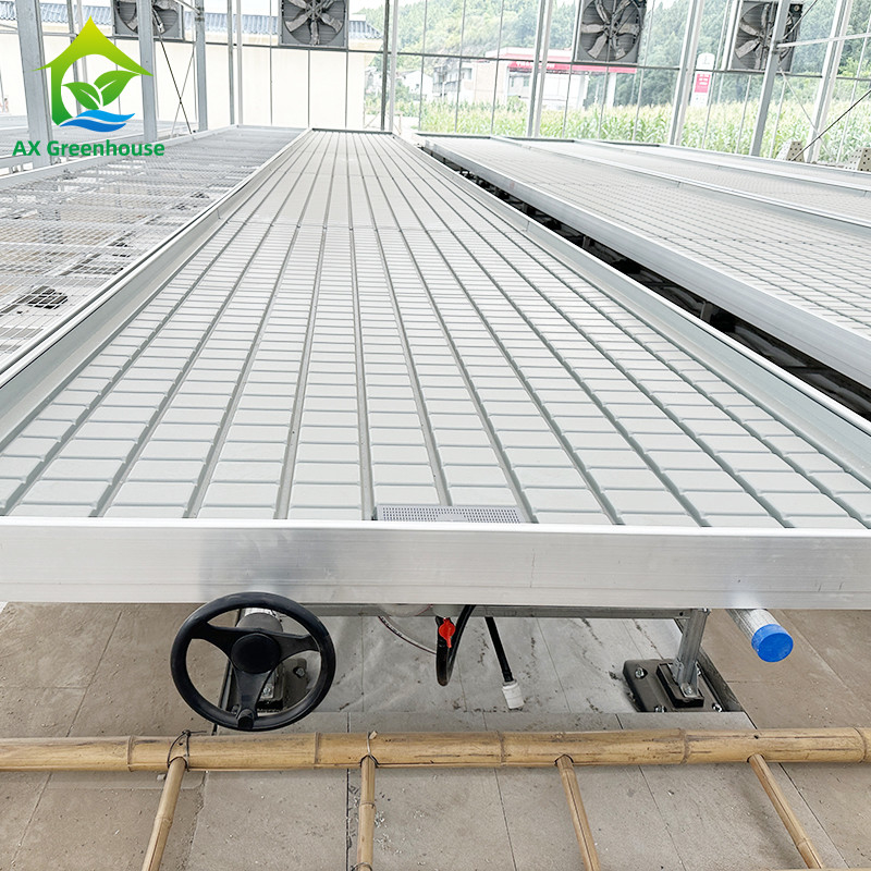 Ebb And Flood Hydroponic Movable Table Rolling Bench cho cây trồng trồng trong nhà kính