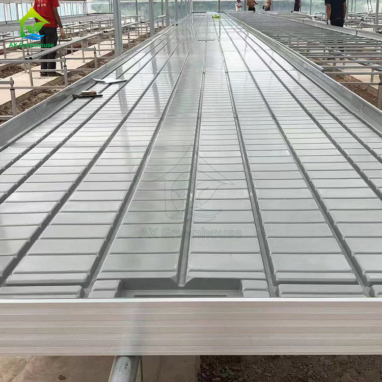 Ebb And Flood Hydroponic Movable Table Rolling Bench cho cây trồng trồng trong nhà kính