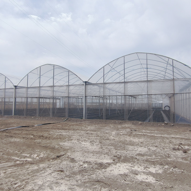 Cấu trúc thép galvanized nóng Multi-Span phim nhựa Custom nhà kính với nhiệt đới top thông gió thiết kế răng cưa