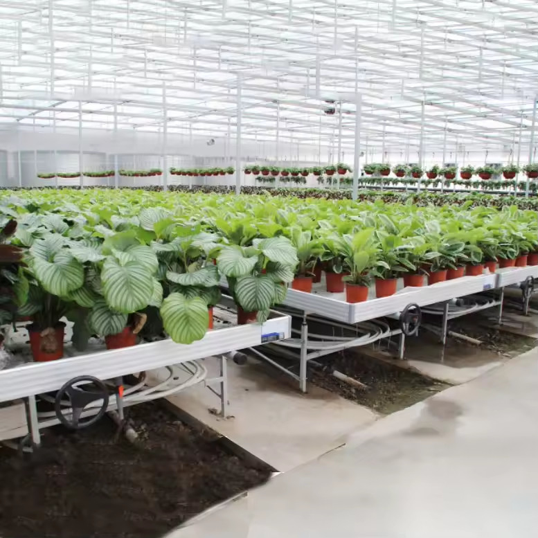 Nhà kính trong nhà Hydroponic Ebb And Flood Rolling Benches trồng hạt giống