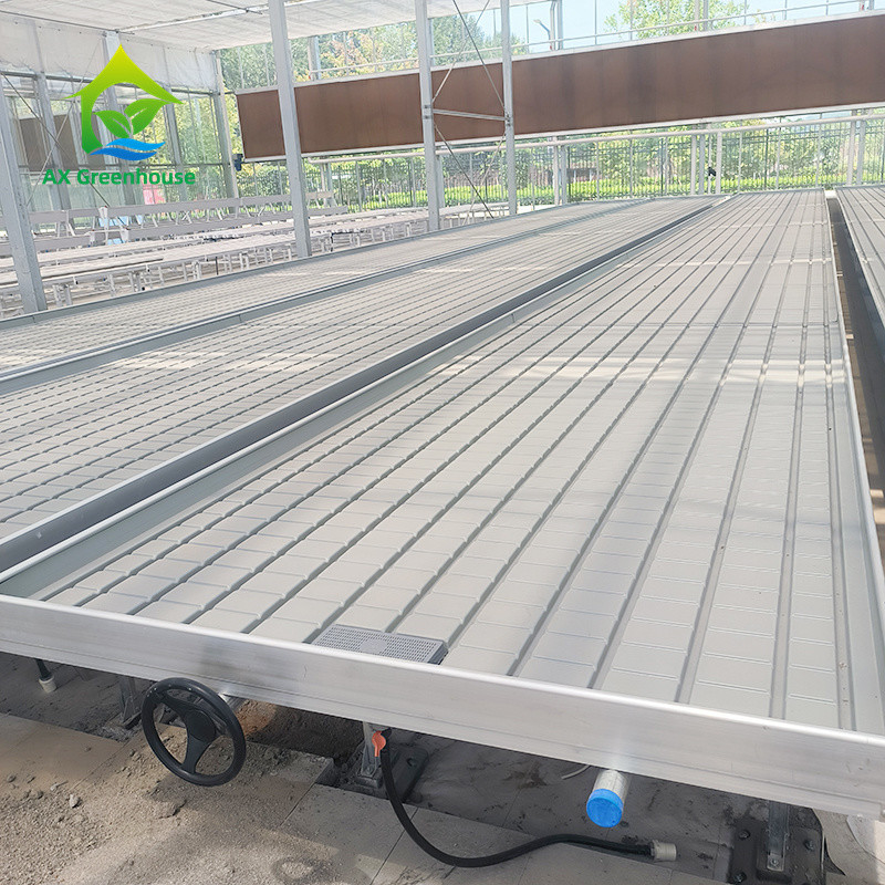 Ưu tiên hoa trồng trong nhà nấm vườn ươm trồng bàn lăn bán