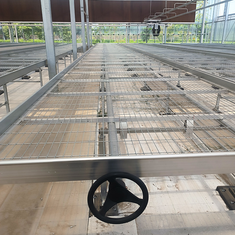 Bàn phát triển băng ghế xanh nhà kính tùy chỉnh với lợi thế xây dựng dễ dàng và cấu trúc khung thép kẽm nóng